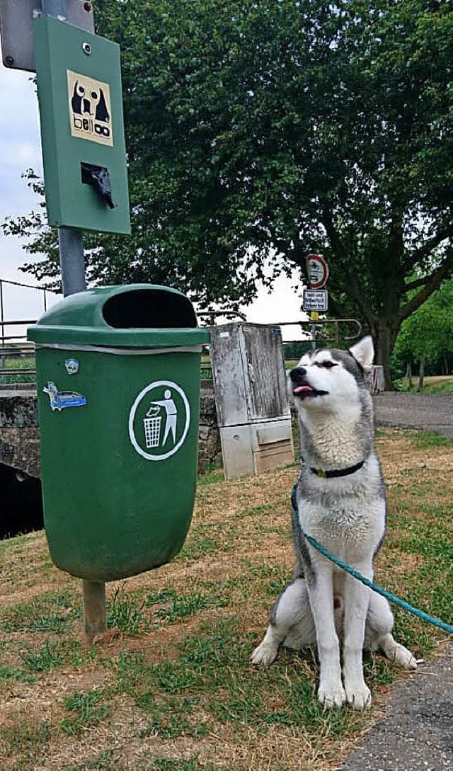 Hundekotbeutel gehren in den Mll.   | Foto: Stadt Ettenheim