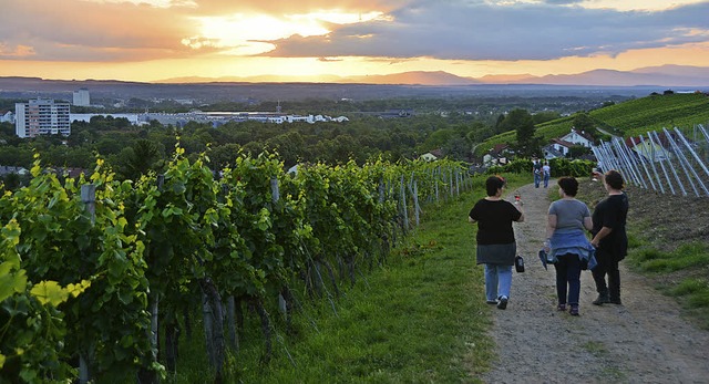 Erholung Suchende, Winzer, Landwirte u...rlandschaft am Tllinger zu erhalten.   | Foto: Lauber