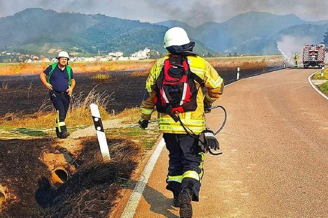 Feuerwehr löscht einen Brand auf Brachlandfläche