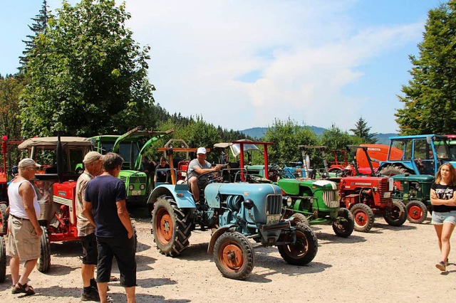 Freunde alter Traktoren waren am Samstag auf der Lipple-Passhhe gut bedient.  | Foto: Rolf-Dieter Kanmacher