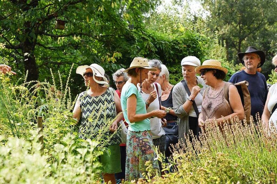 Sinnliche Eindrücke gab es bei der BZ-Ferienaktion im Heilpflanzengarten Achillea in St. Georgen (Foto: Rita Eggstein) Sinnliche Eindrücke gab es bei der BZ-Ferienaktion im Heilpflanzengarten Achillea in St. Georgen (Foto: Rita Eggstein)