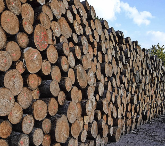 Das Sturmtief Burglind hat viele Bume...angebot sind die Holzpreise gefallen.   | Foto: Jger