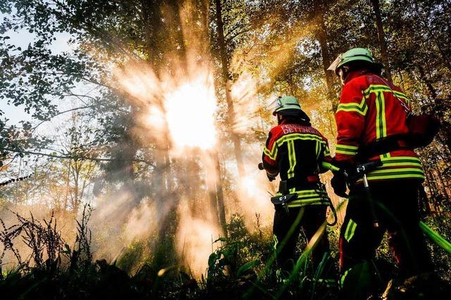 Feuerwehren im Sdwesten sehen sich fr Waldbrnde gut gerstet
