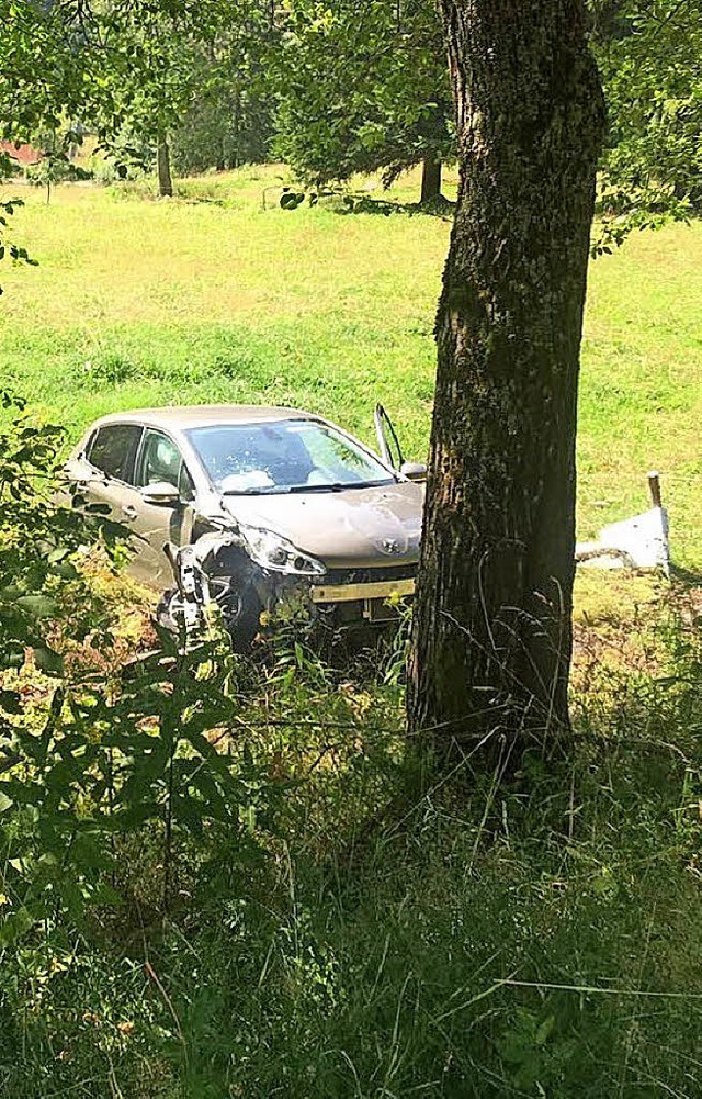 Der Unfallwagen fhrt ber die Bschun...kommt auf einer Viehweide zum Stehen.   | Foto: Kamera 24