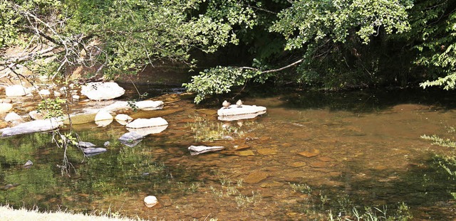 Nur noch hauchdnn steht das Wasser in...e Trockenheit inzwischen bedrohlich.    | Foto: Marlies Jung-Knoblich