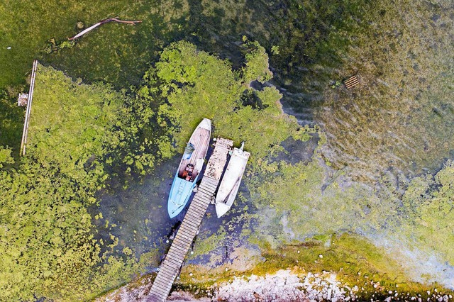 Zwei Boote liegen an einem von von Alg... bei geringem Wasserstand am Bodensee.  | Foto: dpa