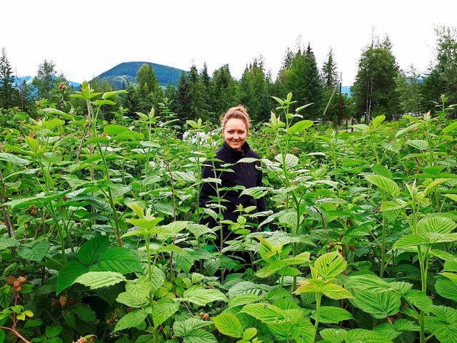 Maike Nubaumer inmitten von  Himbeerstruchern vor den  Bergen des Okanagan.  | Foto: privat