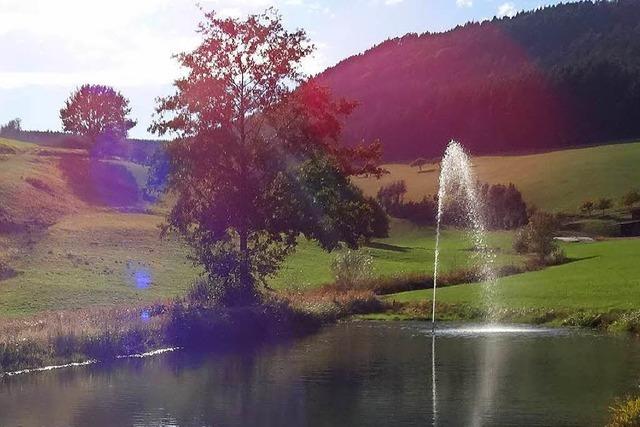 Die Quellen im Schuttertal liefern weniger Wasser