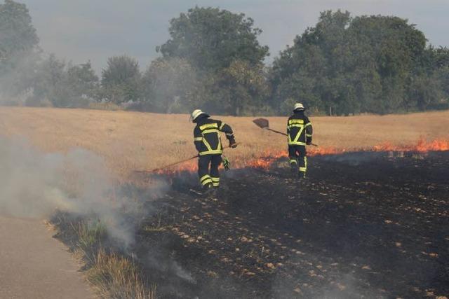 Warum fangen Stoppelfelder in der Region Feuer?