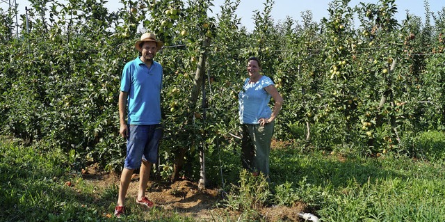 Georg und Susanne Denzer vom Weingarte... einer ihrer beregneten Apfelplantagen  | Foto: Silke Hartenstein