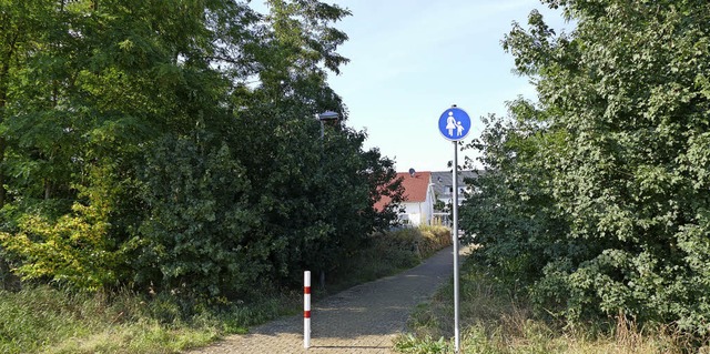 Anwohner setzen sich fr den Erhalt  d...im ein. Es knnte bald bebaut werden.   | Foto: ehm