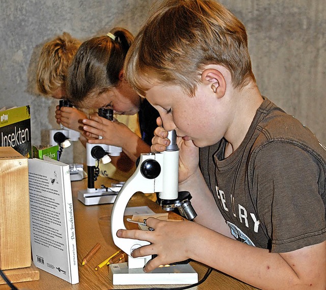 Viele tote Insekten haben die Kinder g... unter dem Mikroskop genau anzusehen.   | Foto: Leony Stabla