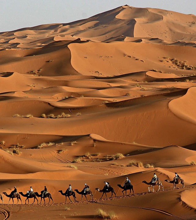 Eine Kamelkarawane zieht durch die  Sahara.   | Foto: W. Grabherr/dpa