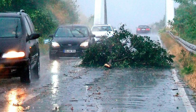 Ein groer Ast liegt nach einem Starkregen und Sturm auf einer Strae  | Foto: dpa