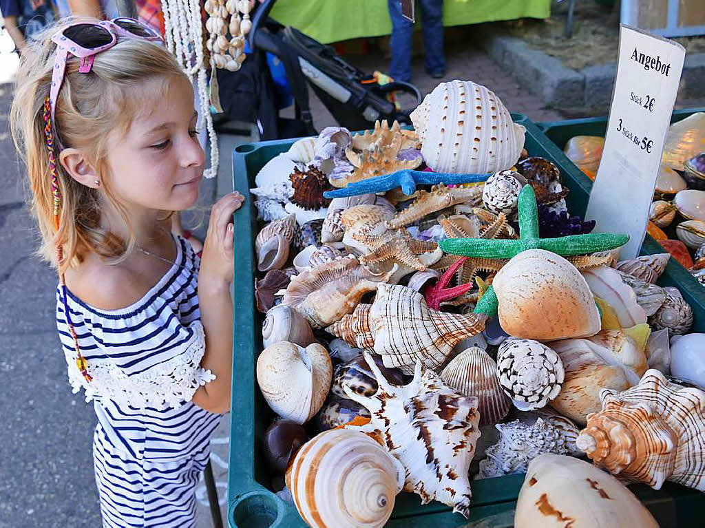 Die sechsjhrige Alisha bestaunt die Muscheln.