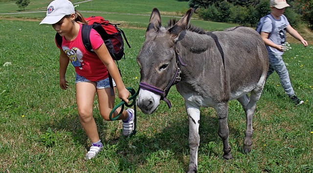 Esel Angelo wird bei der Eselwanderung...er elfjhrigen Generosa Sthr gefhrt.  | Foto: Nina Witwicki