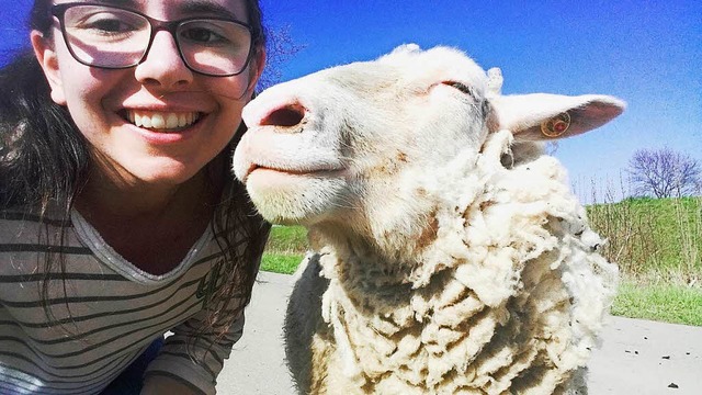 Selfie mit Schaf.  | Foto: Jessica Krumm