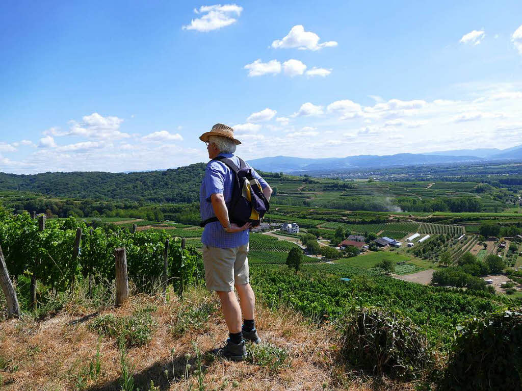 Impressionen von der Wanderung auf dem Panoramaweg in Ihringen