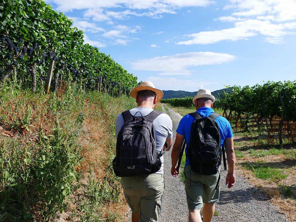 Impressionen von der Wanderung auf dem Panoramaweg in Ihringen