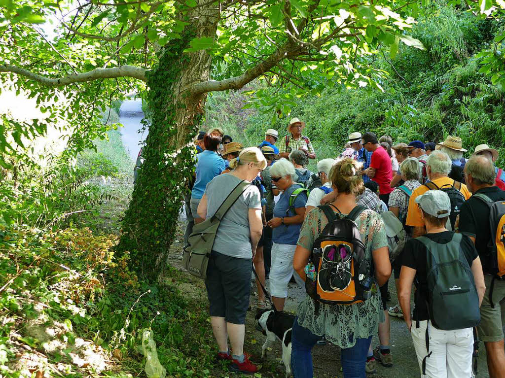 Impressionen von der Wanderung auf dem Panoramaweg in Ihringen