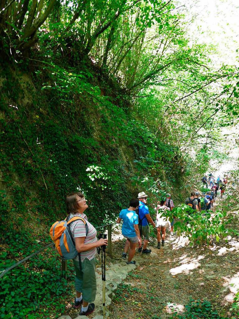 Impressionen von der Wanderung auf dem Panoramaweg in Ihringen