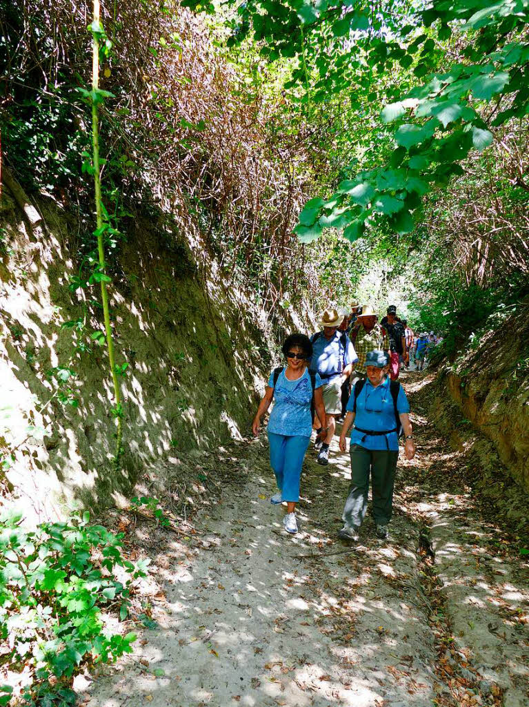 Impressionen von der Wanderung auf dem Panoramaweg in Ihringen