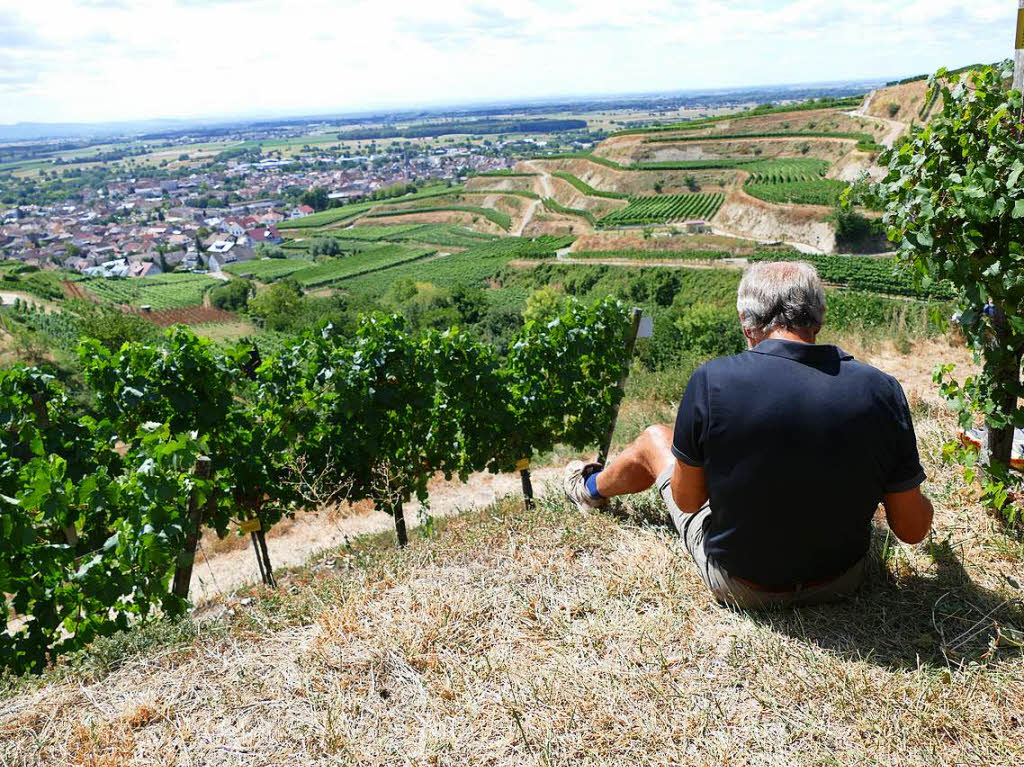 Impressionen von der Wanderung auf dem Panoramaweg in Ihringen