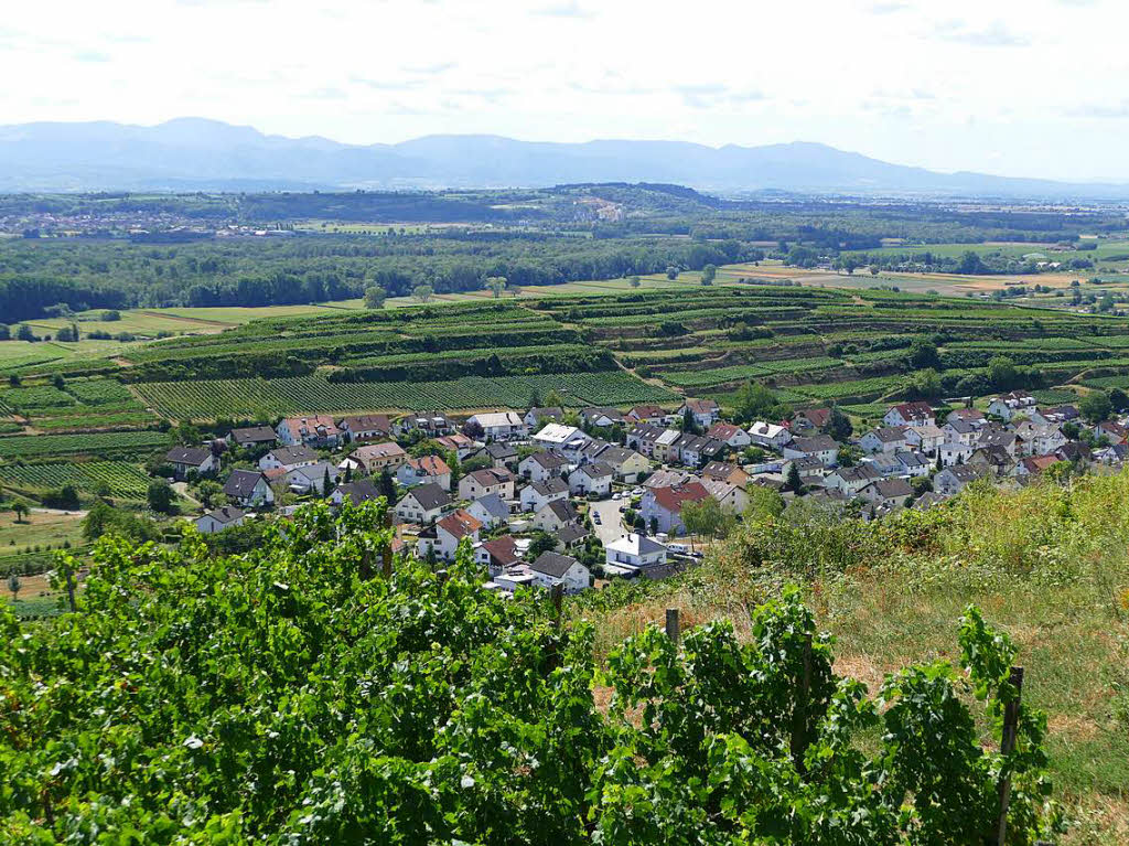 Impressionen von der Wanderung auf dem Panoramaweg in Ihringen