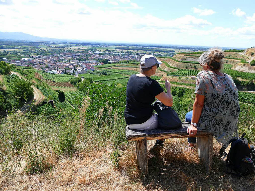 Impressionen von der Wanderung auf dem Panoramaweg in Ihringen