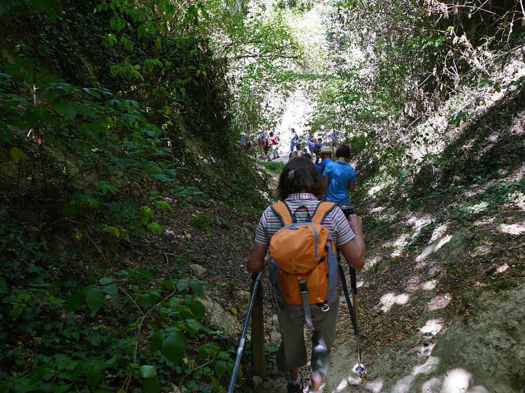 Impressionen von der Wanderung auf dem Panoramaweg in Ihringen