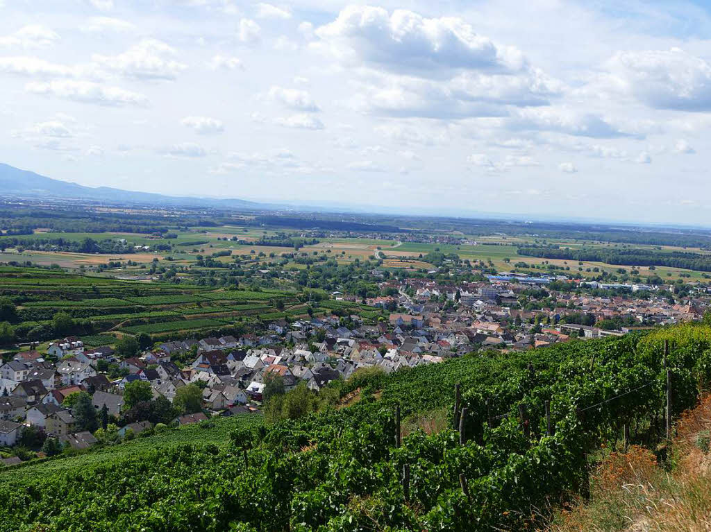 Impressionen von der Wanderung auf dem Panoramaweg in Ihringen