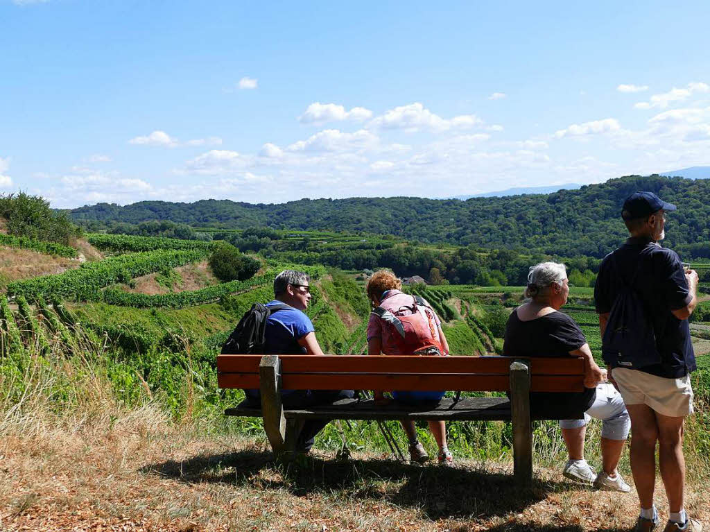 Impressionen von der Wanderung auf dem Panoramaweg in Ihringen