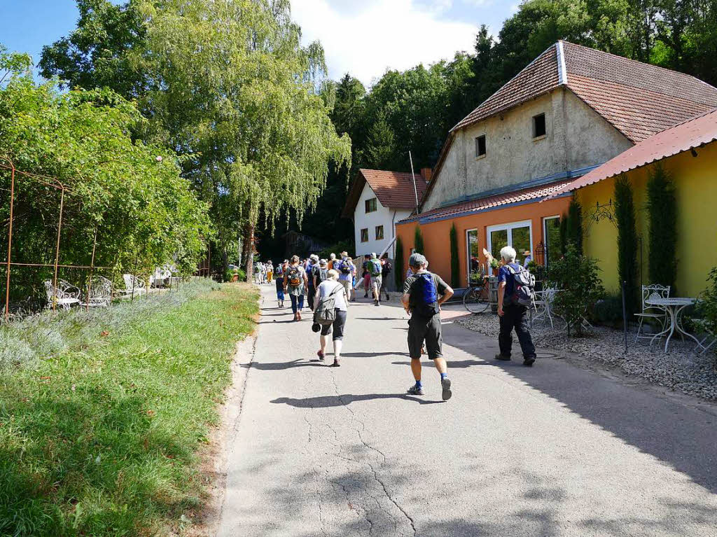 Impressionen von der Wanderung auf dem Panoramaweg in Ihringen