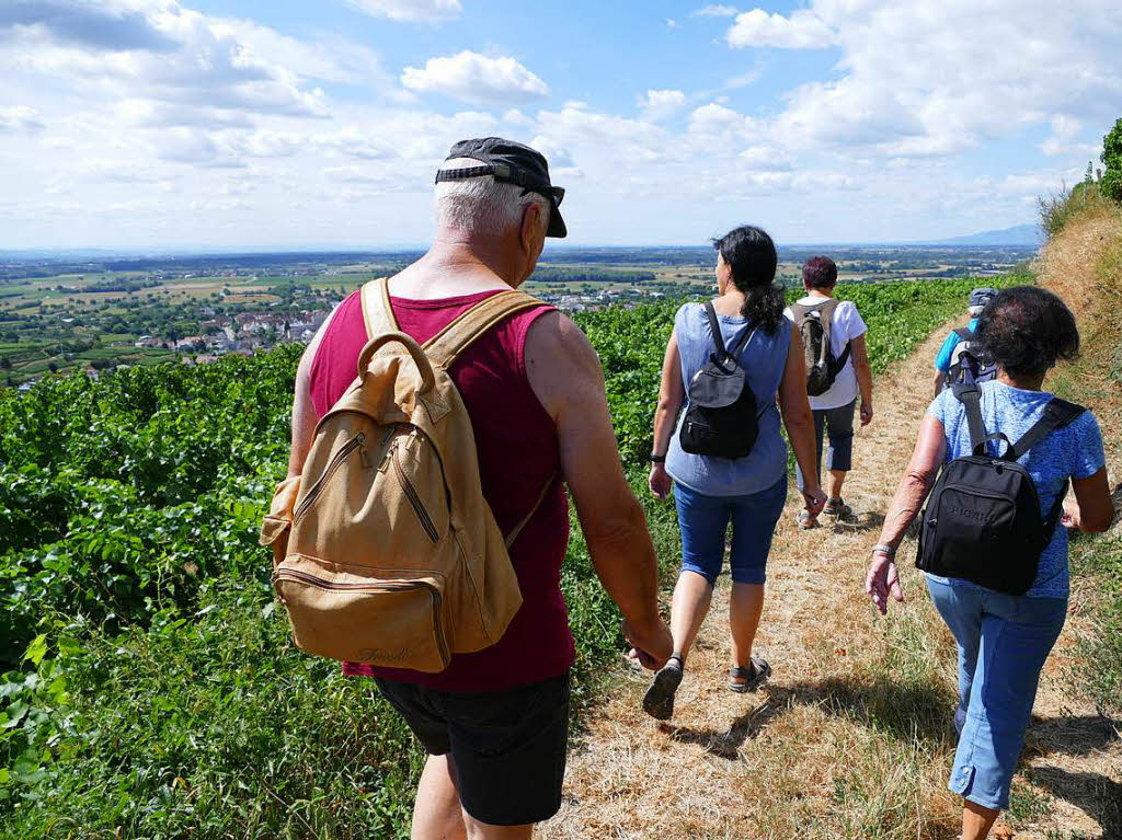 Impressionen von der Wanderung auf dem Panoramaweg in Ihringen