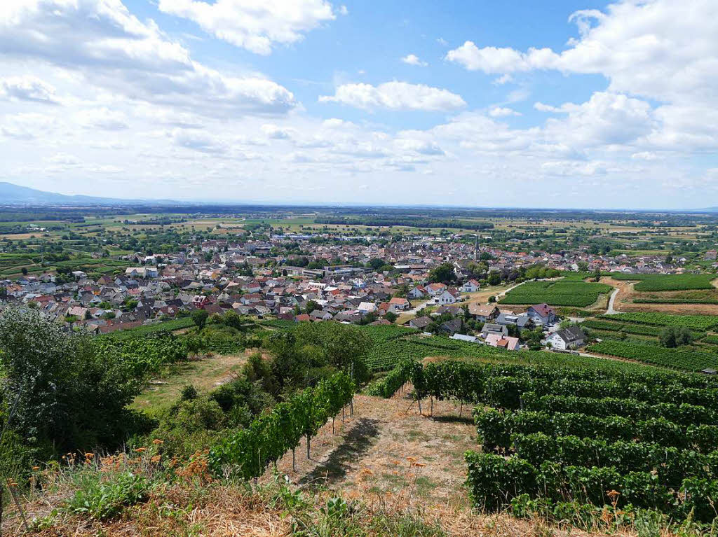 Impressionen von der Wanderung auf dem Panoramaweg in Ihringen