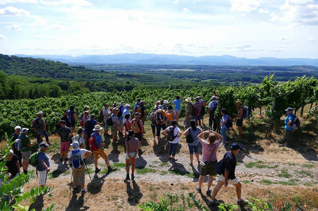 Herrliche Ausblicke auf den Schwarzwal... der Wandergruppe auf dem Panoramaweg.  | Foto: Gerold Zink