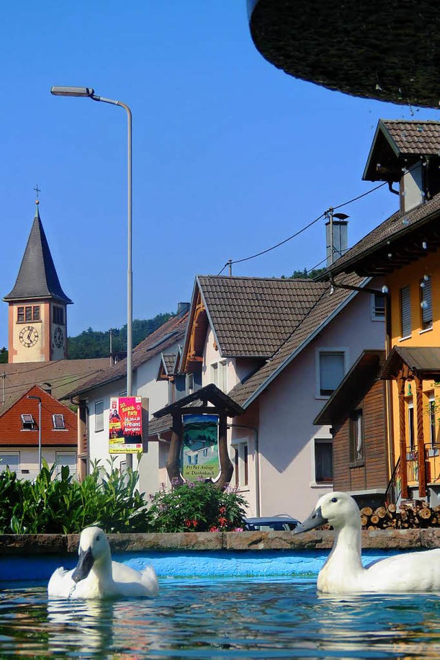 Die Laufenten aus Drlinbach sollen ni...ngbrunnen an der Pit-Pat-Anlage baden.  | Foto: Wolfgang Schtzle