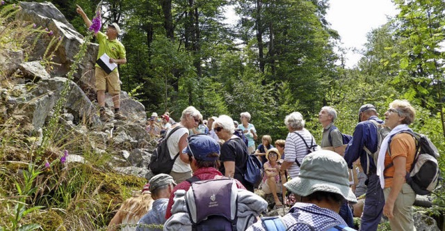 Im Bereich des groen Kandelfelsens wurde es alpin und mystisch.  | Foto: Wolfgang Zillgith