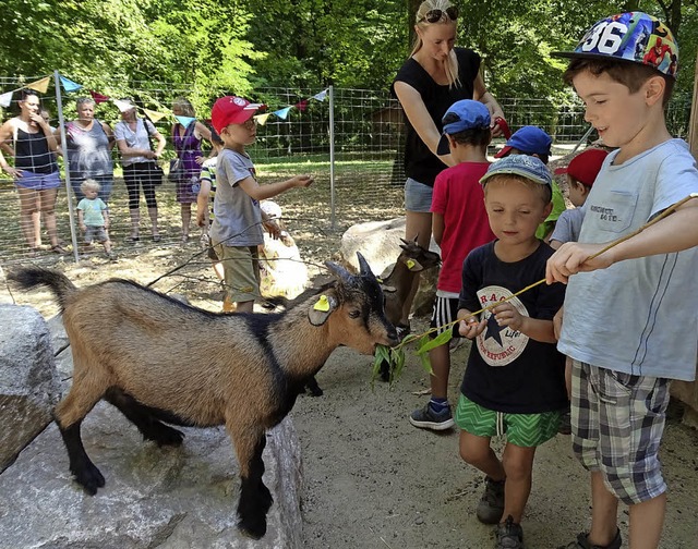 Die Ziegen vom Mundenhof kommen gut bei den Kindern an.   | Foto: Roser