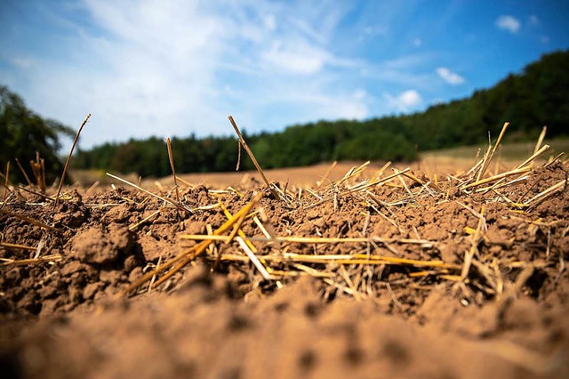 Trockenheit soweit das Auge reicht: die Bauern frchten um ihre Ernte.  | Foto: dpa