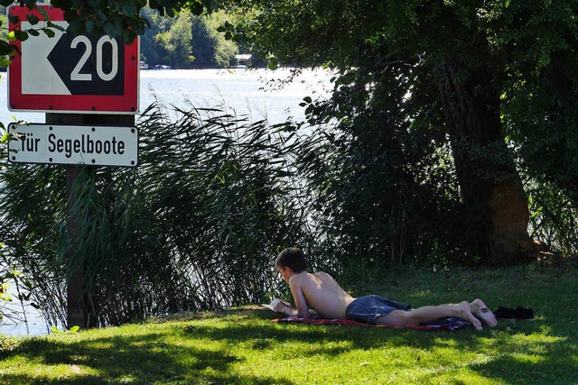 Am Rhein bei Schwrstadt lsst es sich wunderbar entspannen.  | Foto: Martina David-Wenk