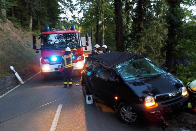 Diesen Twingo, der eine vier Meter tie... musste  die Feuerwehr Kandern bergen.  | Foto: Feuerwehr Kandern