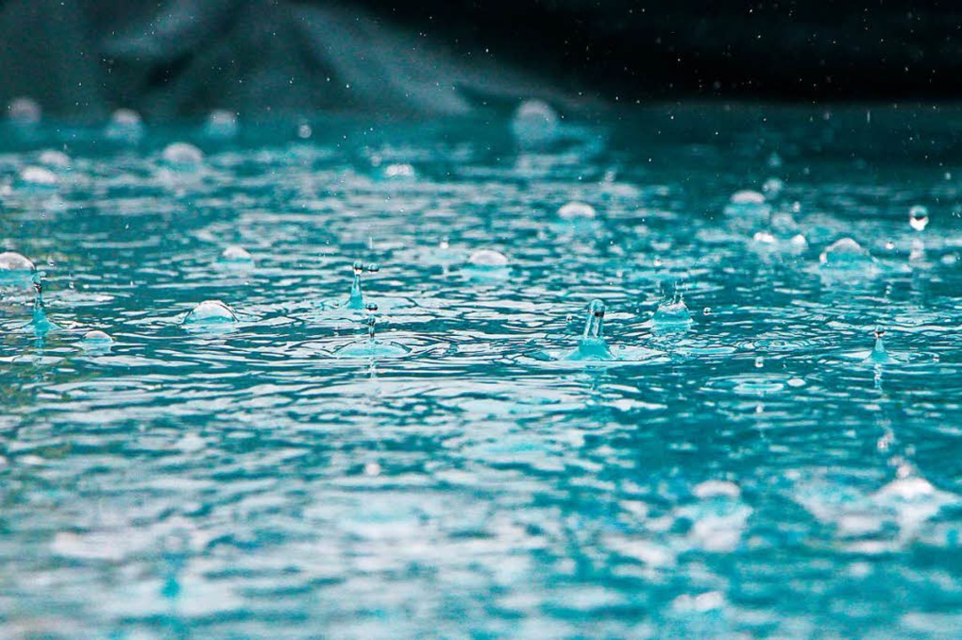 Fr all diejenigen, die vergessen habe...nn, hat fudder Tipps zusammengestellt.  | Foto: Inge Maria (unsplash.com)