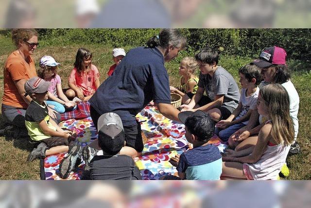 Kinder erkunden den Wald