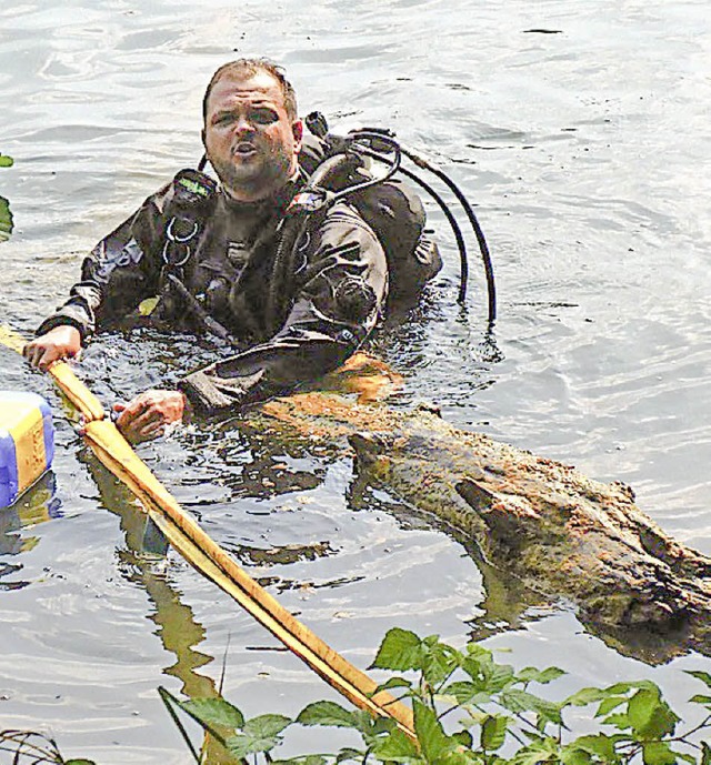 Bergetaucher mit Baum   | Foto: THW