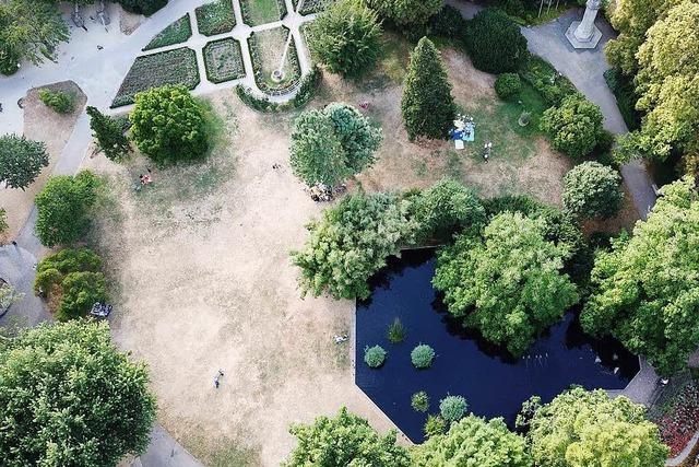 Drohnenbilder zeigen Freiburger Wüste statt Green City