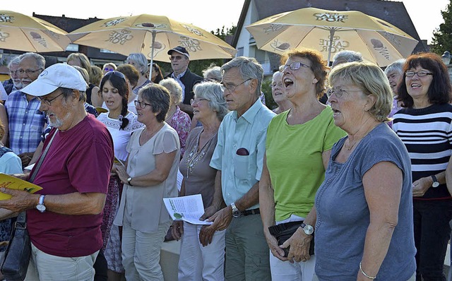 Groen Anklang fand das Offene Singen ...inschaft im Franziskanerklostergarten.  | Foto: Voigt