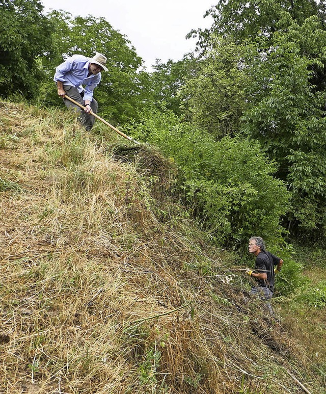 Geschicklichkeit mit der Sense, Knnen...spflege durch Nabu-Mitglieder gefragt.  | Foto: Wolfgang Hoffmann