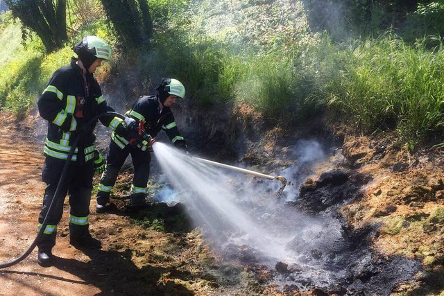 Auf diesem Foto aus dem Jahr 2017 sind...rennenden Grnschnitt lschen mussten.  | Foto: Feuerwehr Endingen