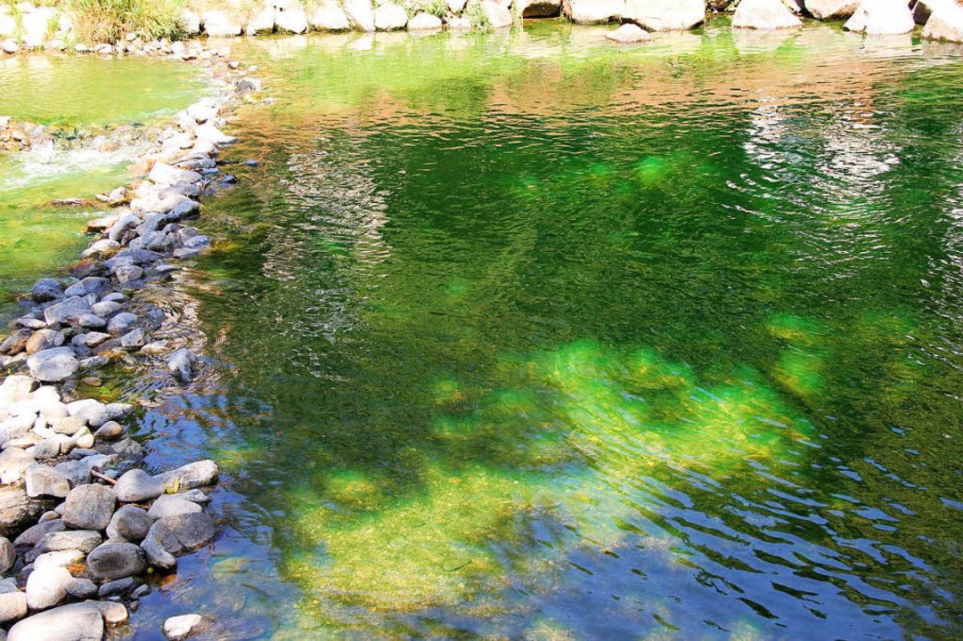 Das Wasser des Flusses wird jetzt untersucht.  | Foto: Alexander Link